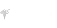 TF GAMING
